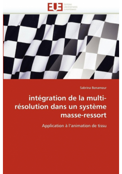 Intégration de la multi-résolution dans un système masse-ressort