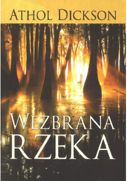 Wezbrana Rzeka