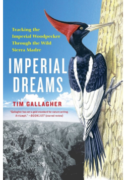 Imperial Dreams