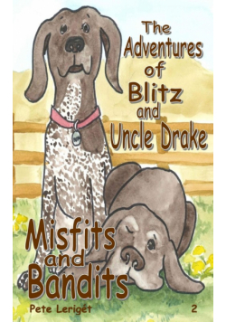 Misfits and Bandits
