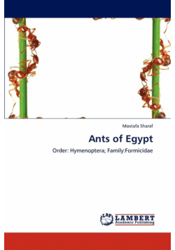 Ants of Egypt