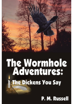 The Wormhole Adventures