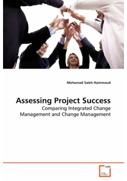 Assessing Project Success