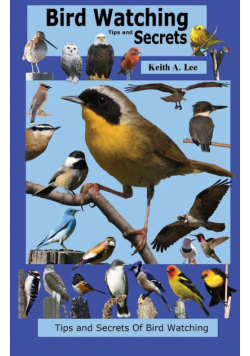 Bird Watching Tips and Secrets