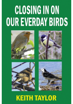 Closing in on Our Everyday Birds