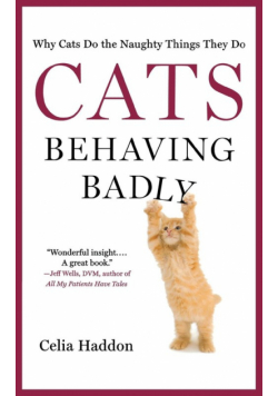Cats Behaving Badly