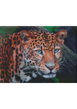 Diamentowa mozaika - Dziki wygląd 30x40cm