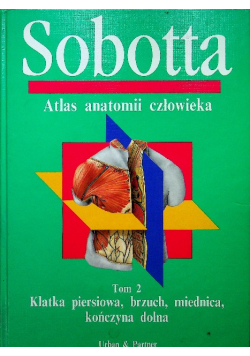 Sobotta Atlas anatomii człowieka Tom 2