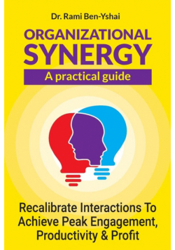 Organizational Synergy - A Practical Guide