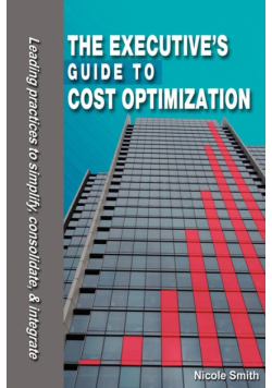 The Executive's Guide to Cost Optimization