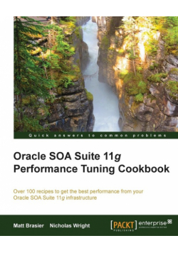 Oracle Soa Suite 11g Performance Cookbook