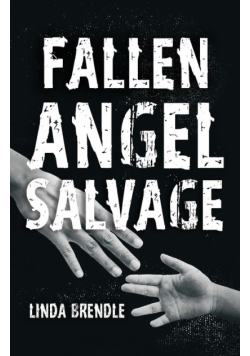 Fallen Angel Salvage