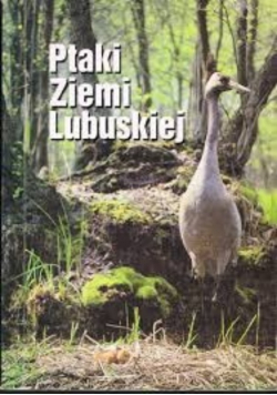 Ptaki ziemi lubuskiej