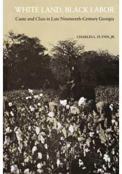White Land, Black Labor