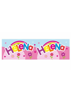 Bidon 300ml Helena