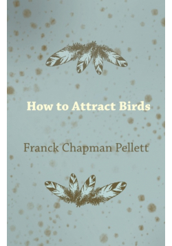 How to Attract Birds