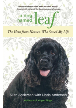 Dog Named Leaf