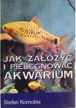 Jak założyć i pielęgnować akwarium