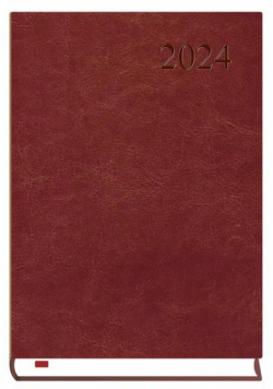 Terminarz 2024 A5 dzienny Asystent bordowy