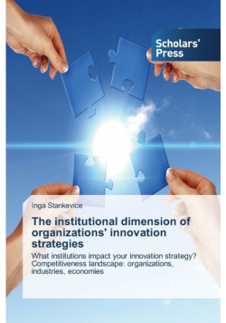 The institutional dimension of organizations' innovation strategies