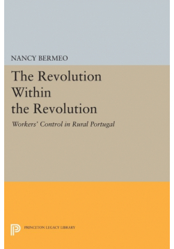 The Revolution Within the Revolution