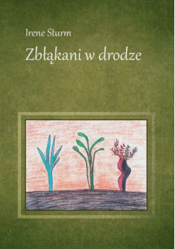 Zbłąkani w drodze