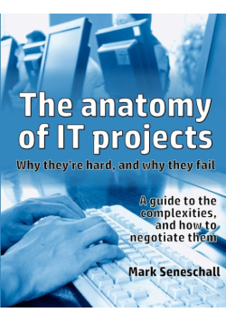 The anatomy of IT projects