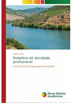 Relatório de atividade profissional