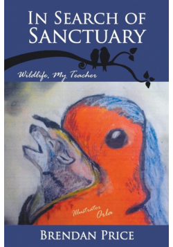 In Search of Sanctuary