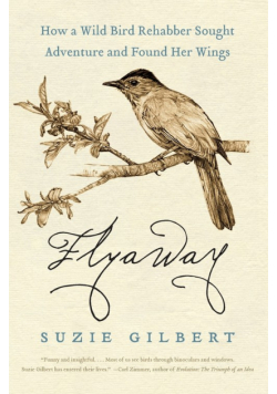 Flyaway