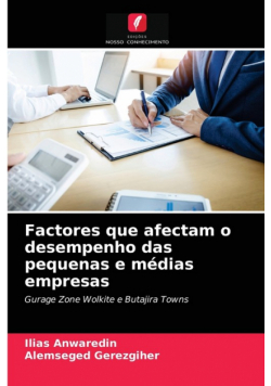 Factores que afectam o desempenho das pequenas e médias empresas