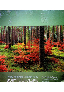 Leśny kompleks promocyjny Bory Tucholskie