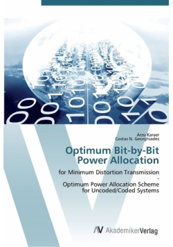 Optimum Bit-by-Bit  Power Allocation