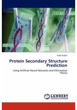 Protein Secondary Structure Prediction