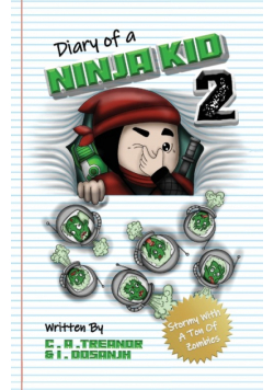 Diary Of A Ninja Kid 2