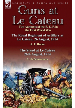 Guns at Le Cateau