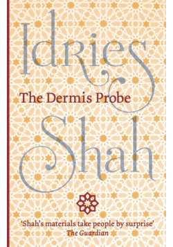 The Dermis Probe