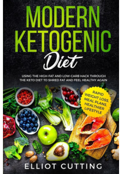 Modern Ketogenic Diet