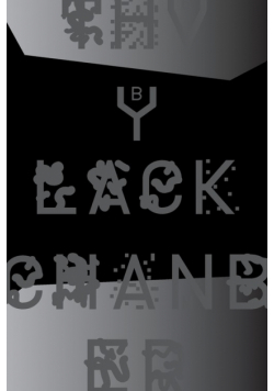 The Black Chamber. Surveillance, paranoia, invisibility & the internet
