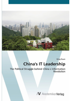 China's IT Leadership