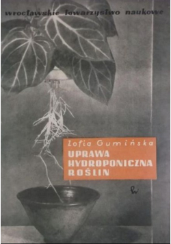 Uprawa hydroponiczna roślin