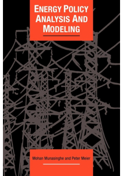 Energy Policy Analysis and Modelling