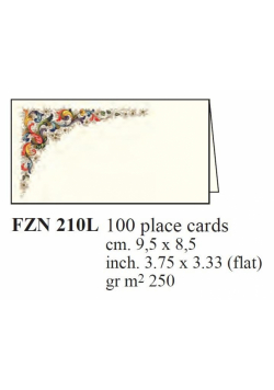 Box 100 Winietek 9,5x8,5cm FZN 210L