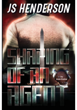 Shaping of an Agent