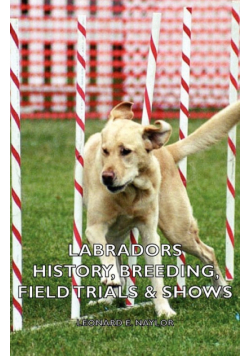 Labradors - History, Breeding, Field Trials & Shows