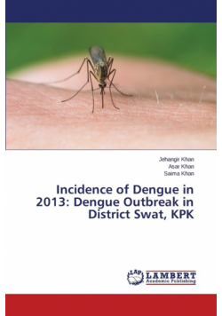 Incidence of Dengue in 2013