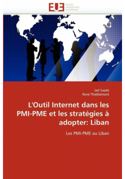 L'outil internet dans les pmi-pme et les stratégies à adopter