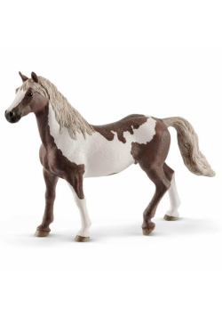 Koń Paint Gelding