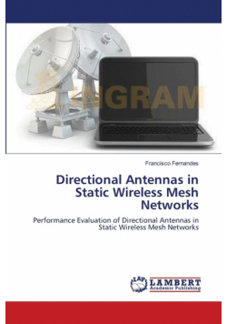 Directional Antennas in Static Wireless Mesh Networks