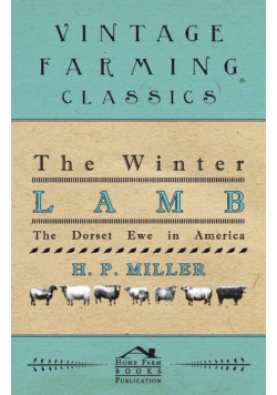 The Winter Lamb